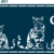 d51